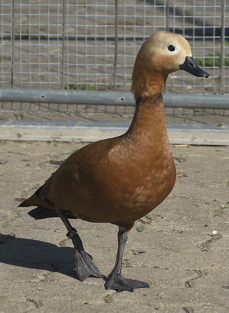 行山更輕鬆