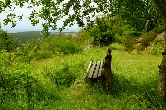 他凭借敏锐 他凭借敏锐