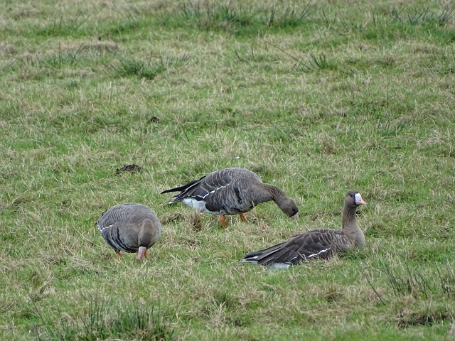 展的指引 展的指引