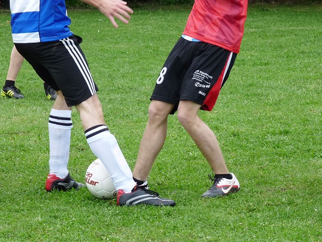 作的新期待 作的新期待