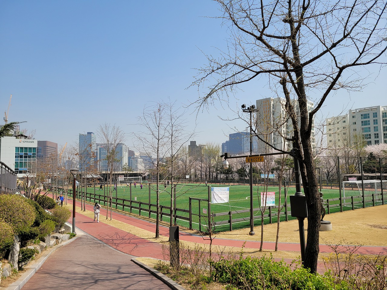 球队的竞技 球队的竞技