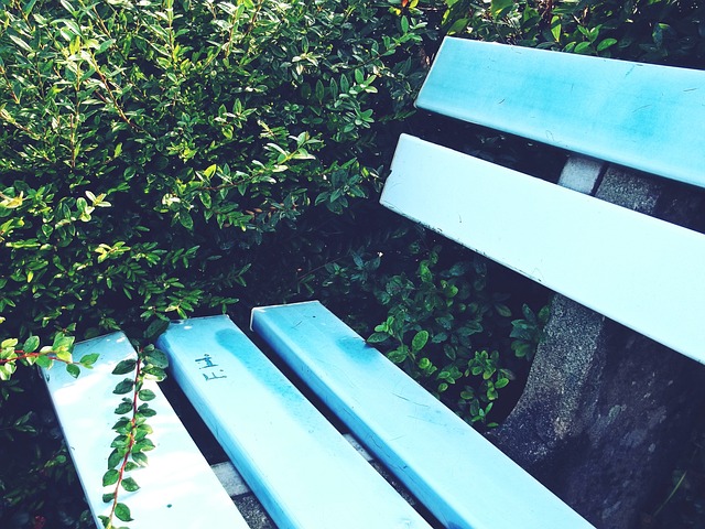 萊萬的年齡 萊萬的年齡